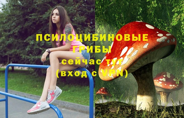 соль курить ск Краснослободск