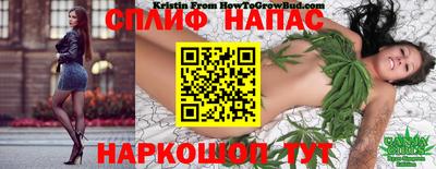 стаф Кулебаки