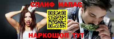 стаф Кулебаки