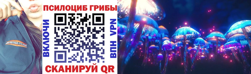 сколько стоит  Нурлат  Галлюциногенные грибы прущие грибы 