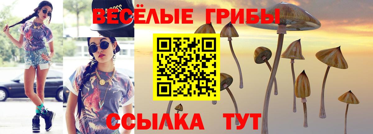Нурлат  Псилоцибиновые грибы мицелий  Галлюциногенные грибы ЛСД  Вход с VPN 
